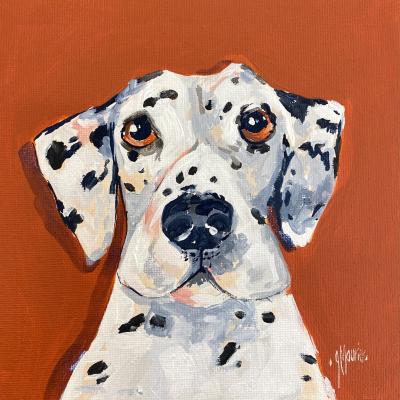 Pongo 70€