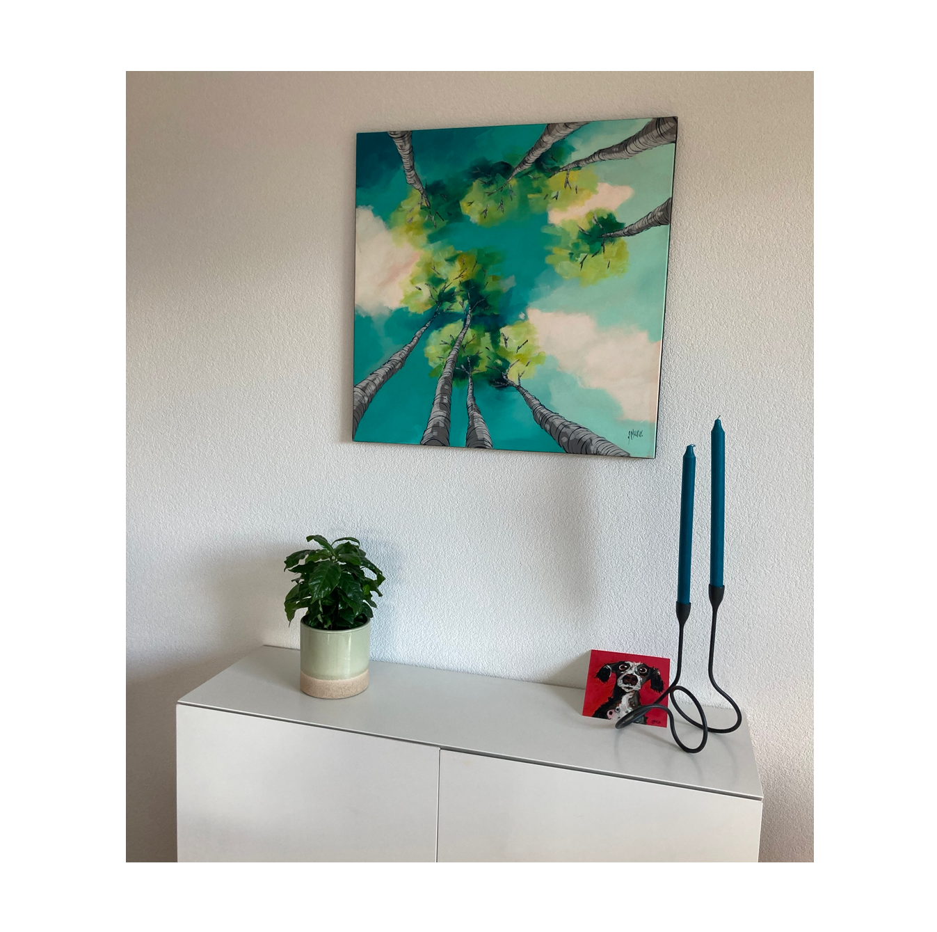 Betula Bleus, Bouleaux
