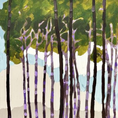 Betula saposhnikovii 230€