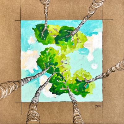 Betula Schmidtii 90€