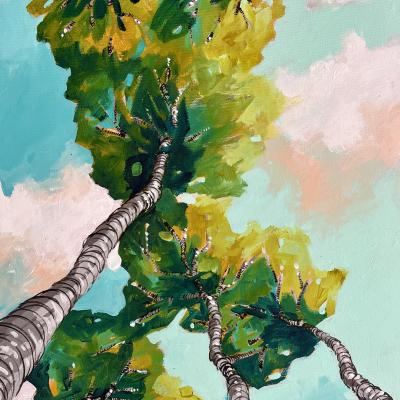 Betula Utilis 160€