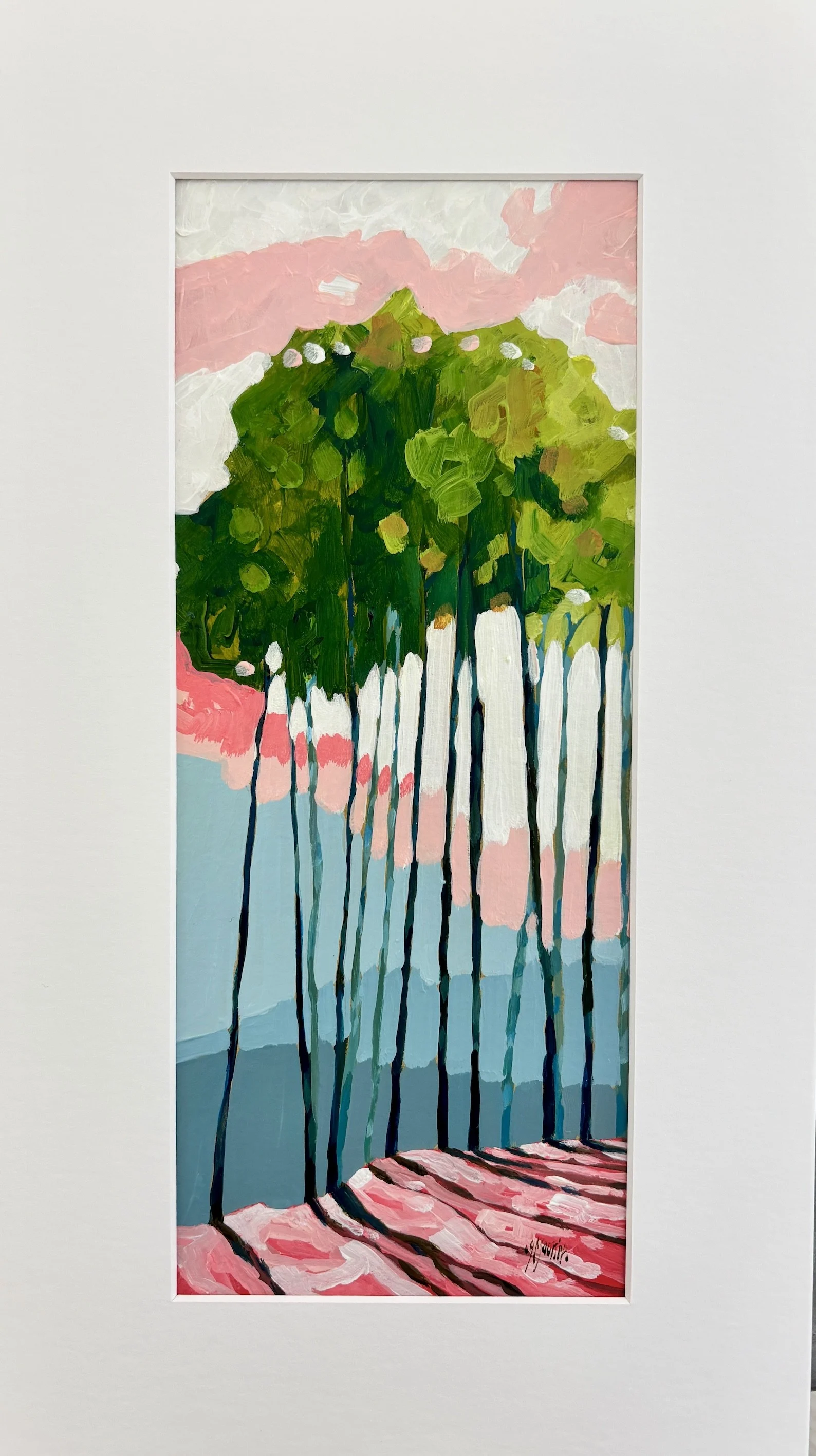 Betula insignis 100€
