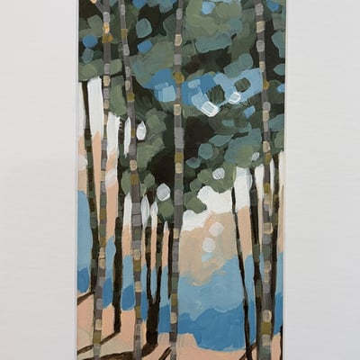 Betula maximowicziana 100€
