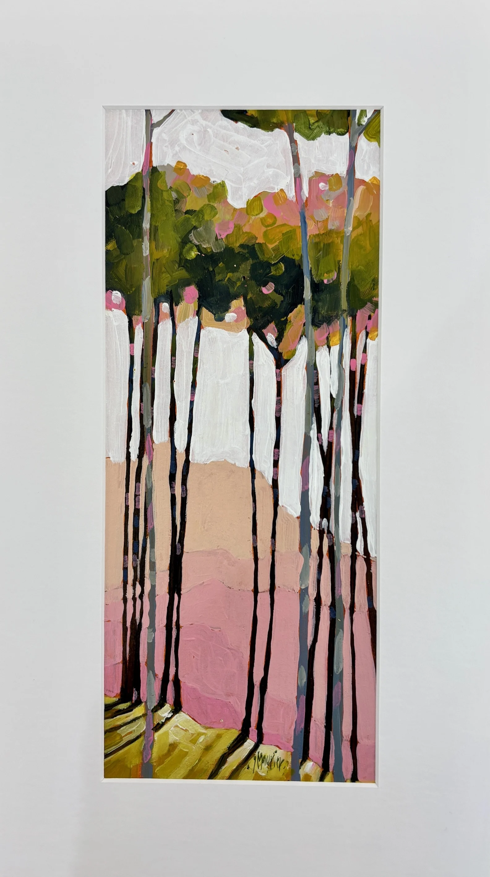 Betula murrayana 100€
