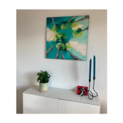 Betula