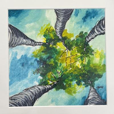 Betula Alizea 110€