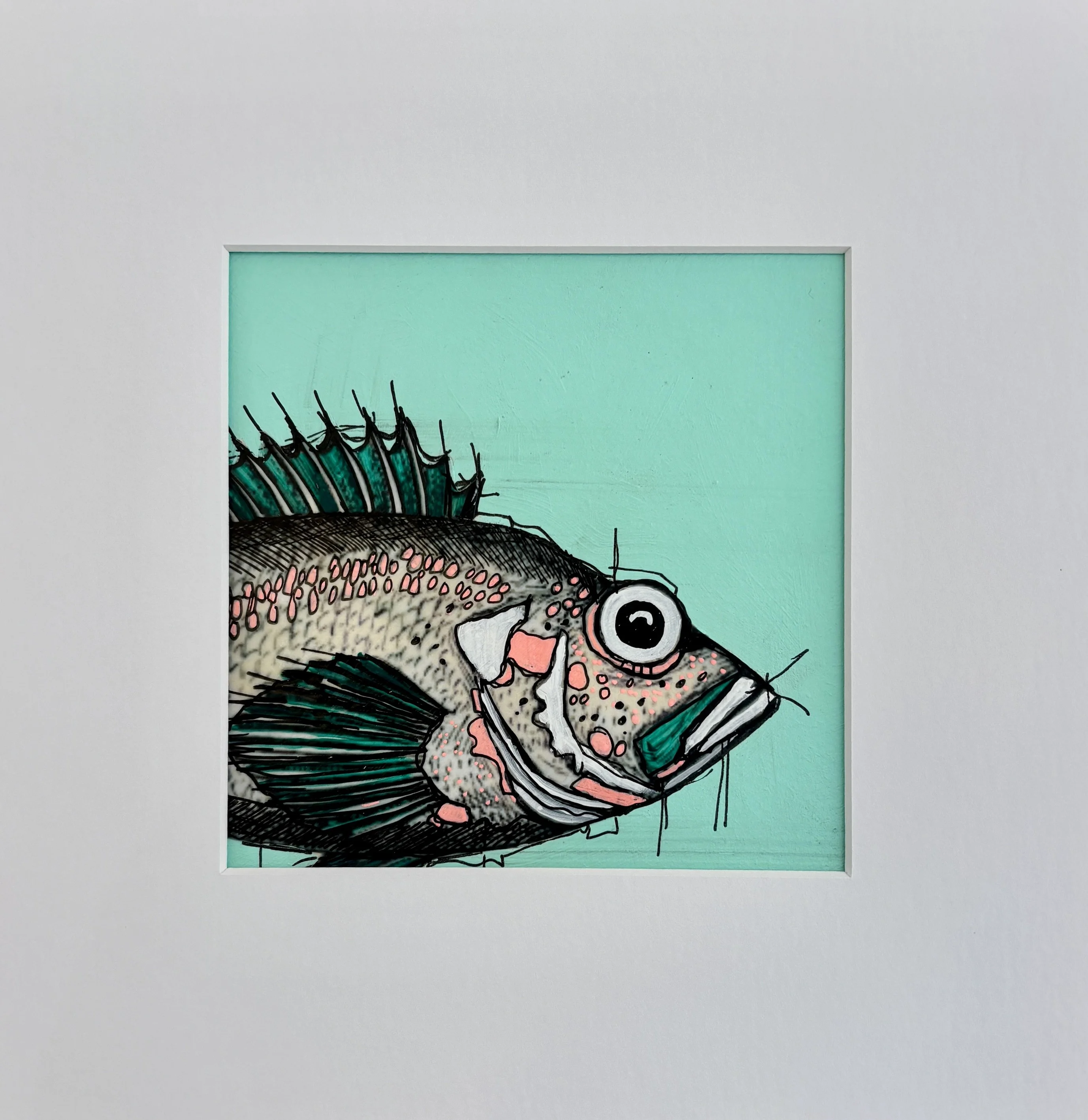 Testa di pesce 80€